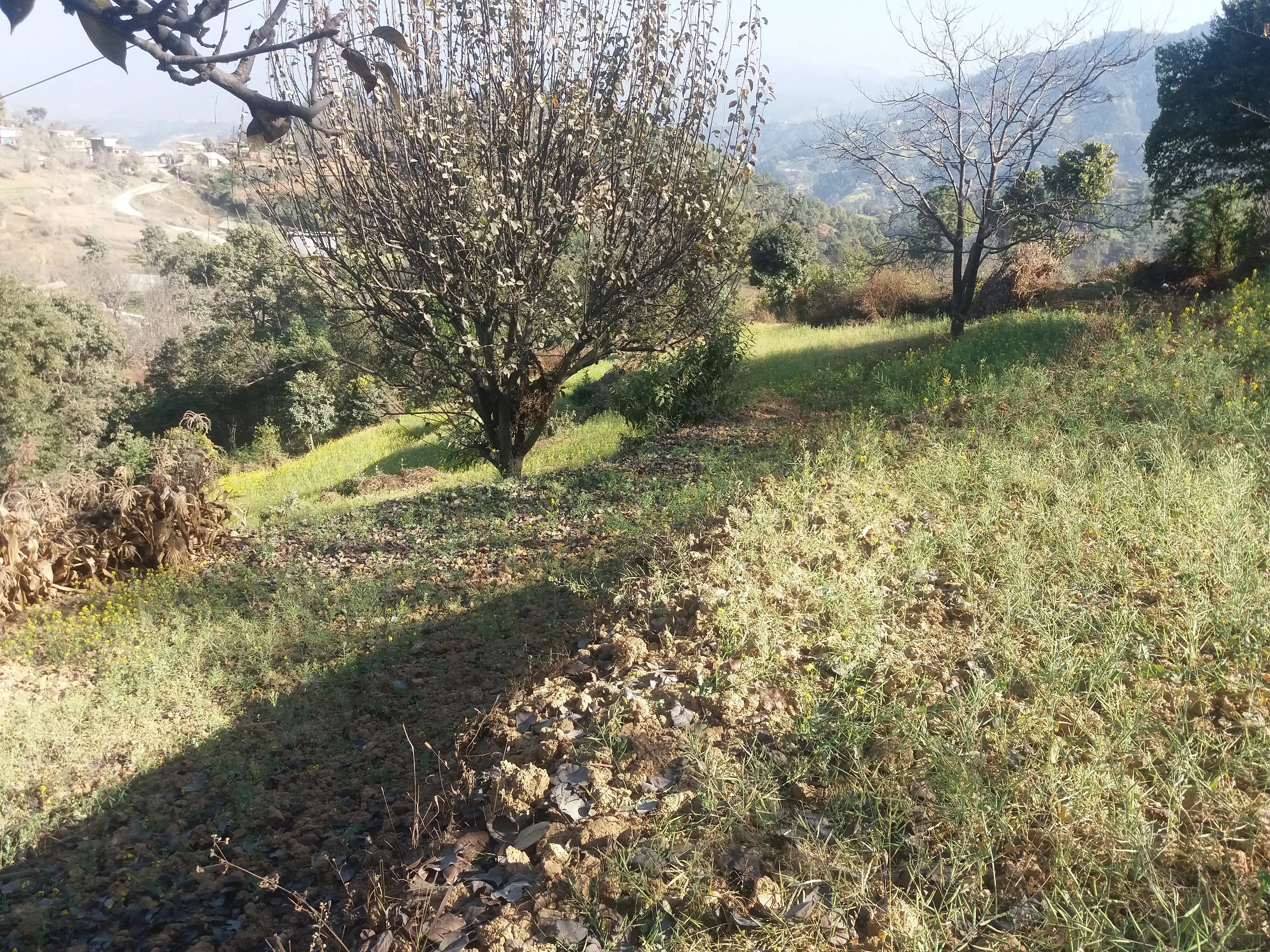 Land for sale in kathmandu : Land for Sale in Dakshinkali, Kathmandu Image 3