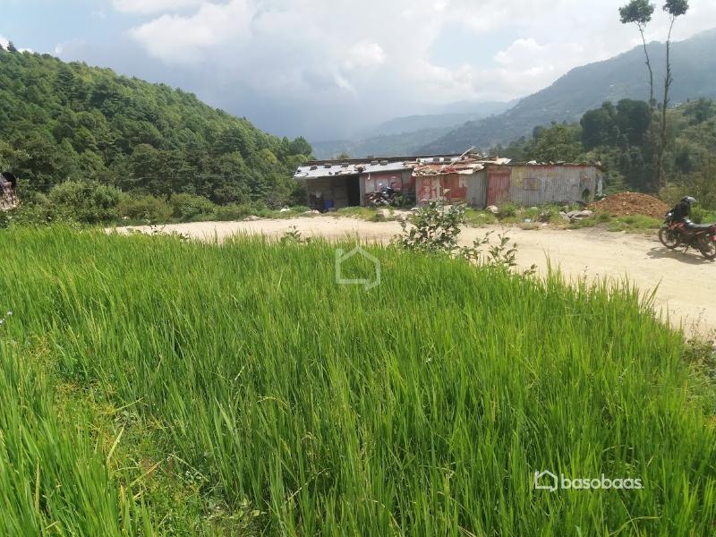 Land for sale in kathmandu : Land for Sale in Dakshinkali, Kathmandu Image 2
