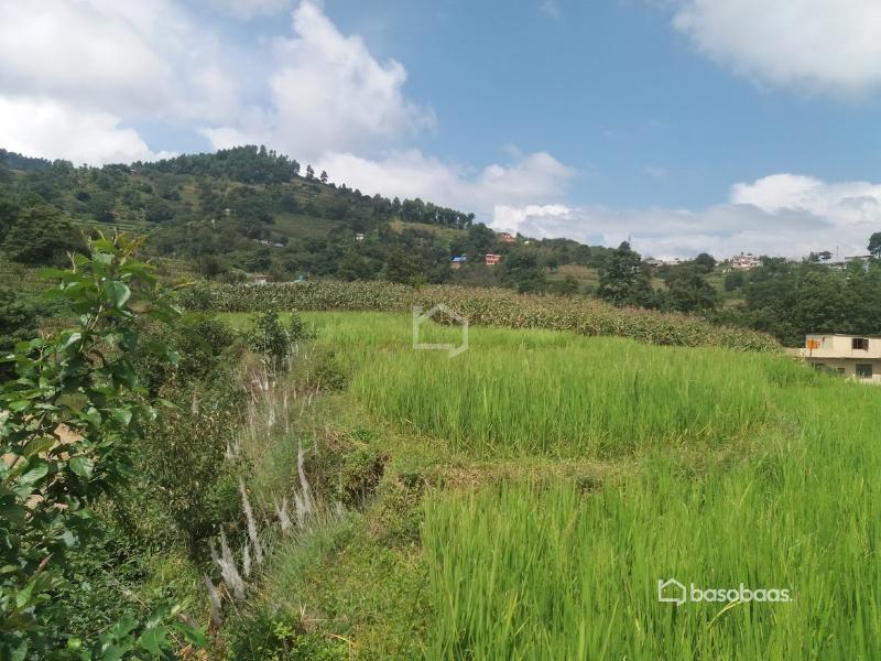 Land for sale in kathmandu : Land for Sale in Dakshinkali, Kathmandu Image 1