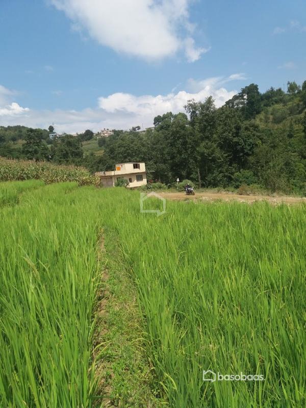 Land for sale in kathmandu : Land for Sale in Dakshinkali, Kathmandu Image 3