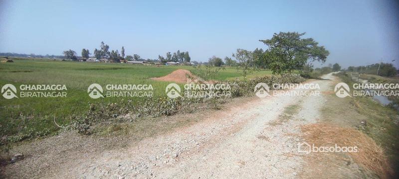 8 Kattha 3 Dhur  Agricultural Land at Tetariya Morang : Land for Sale in Biratnagar, Morang Image 1