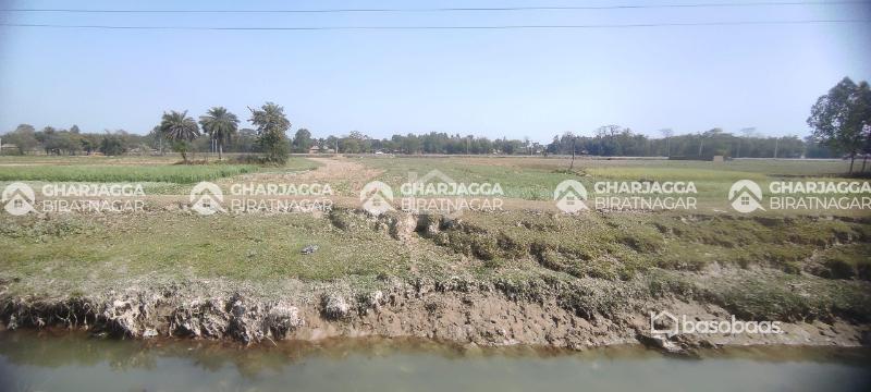 8 Kattha 3 Dhur  Agricultural Land at Tetariya Morang : Land for Sale in Biratnagar, Morang Image 4