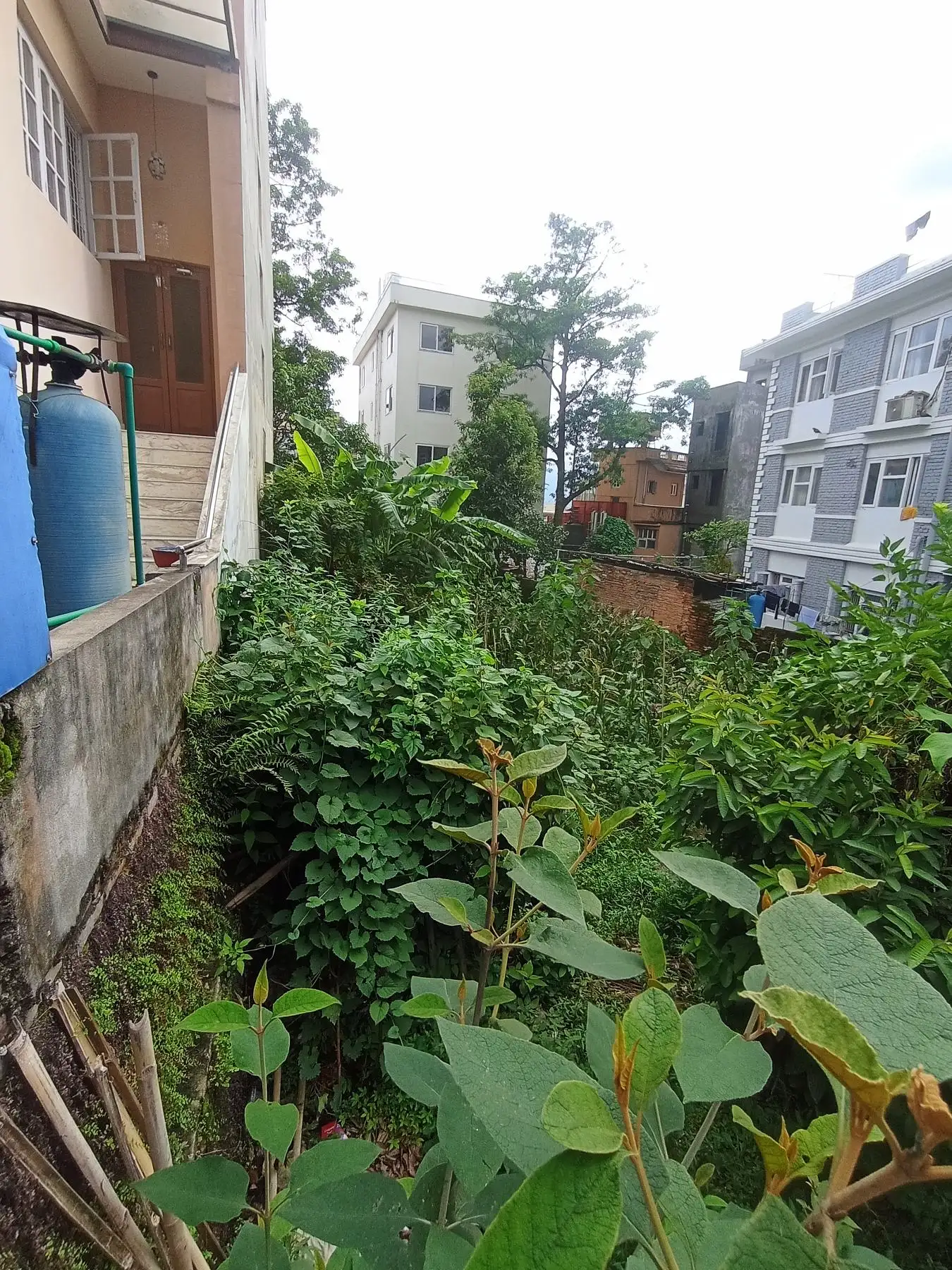 land on sale at chandol Image 3