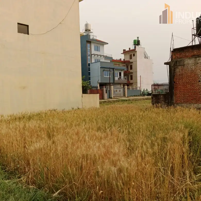 Land on sale-Harisiddhi,Lalitpur Image 4