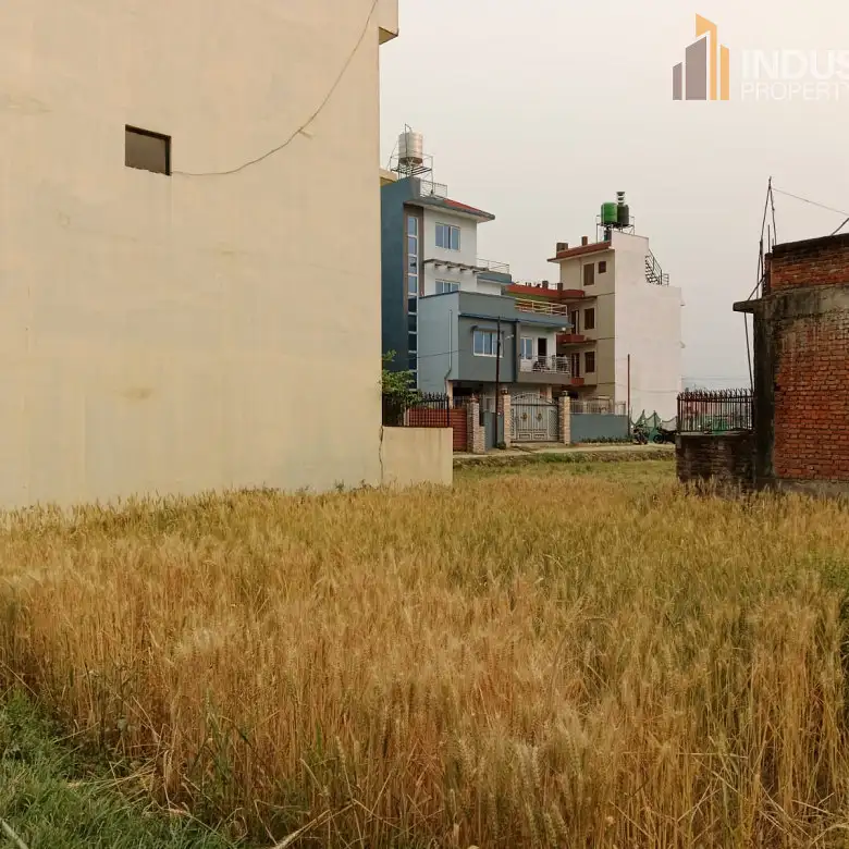 Land on sale-Harisiddhi,Lalitpur Image 2