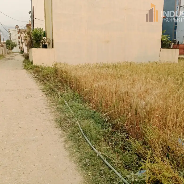 Land on sale-Harisiddhi,Lalitpur Image 3