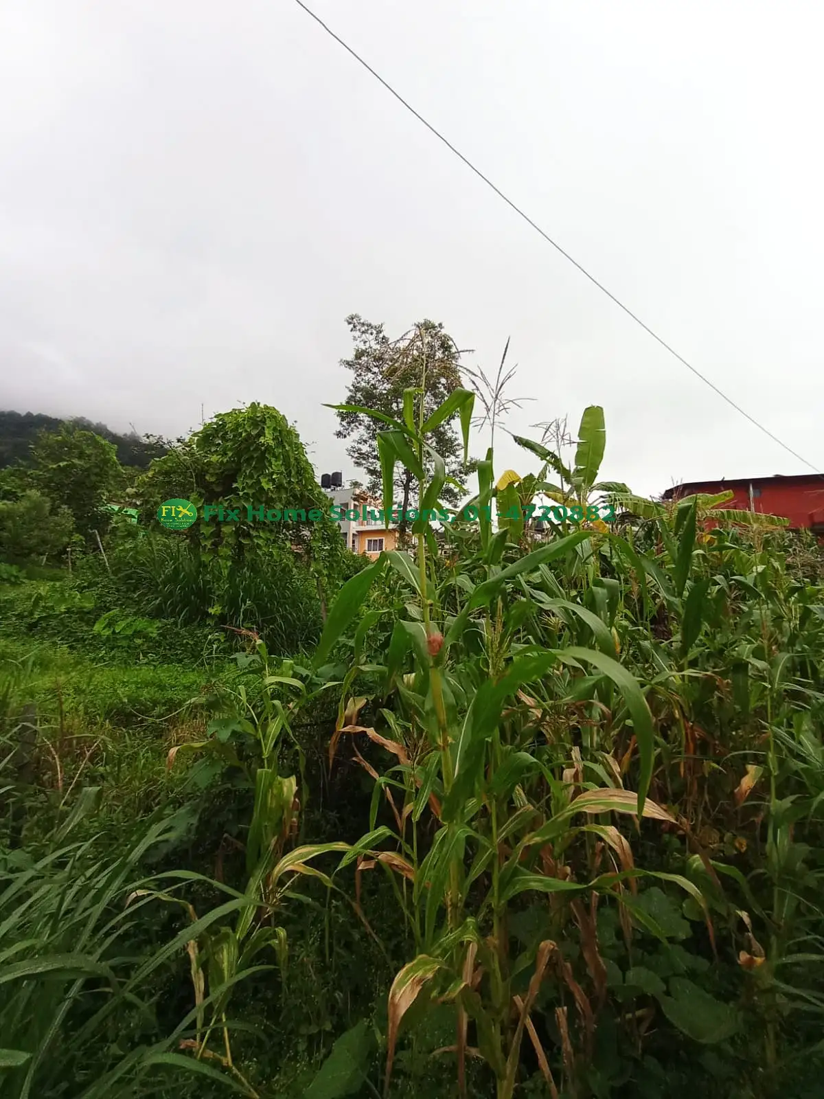 Land On Sale At Budhanilkantha Thumbnail