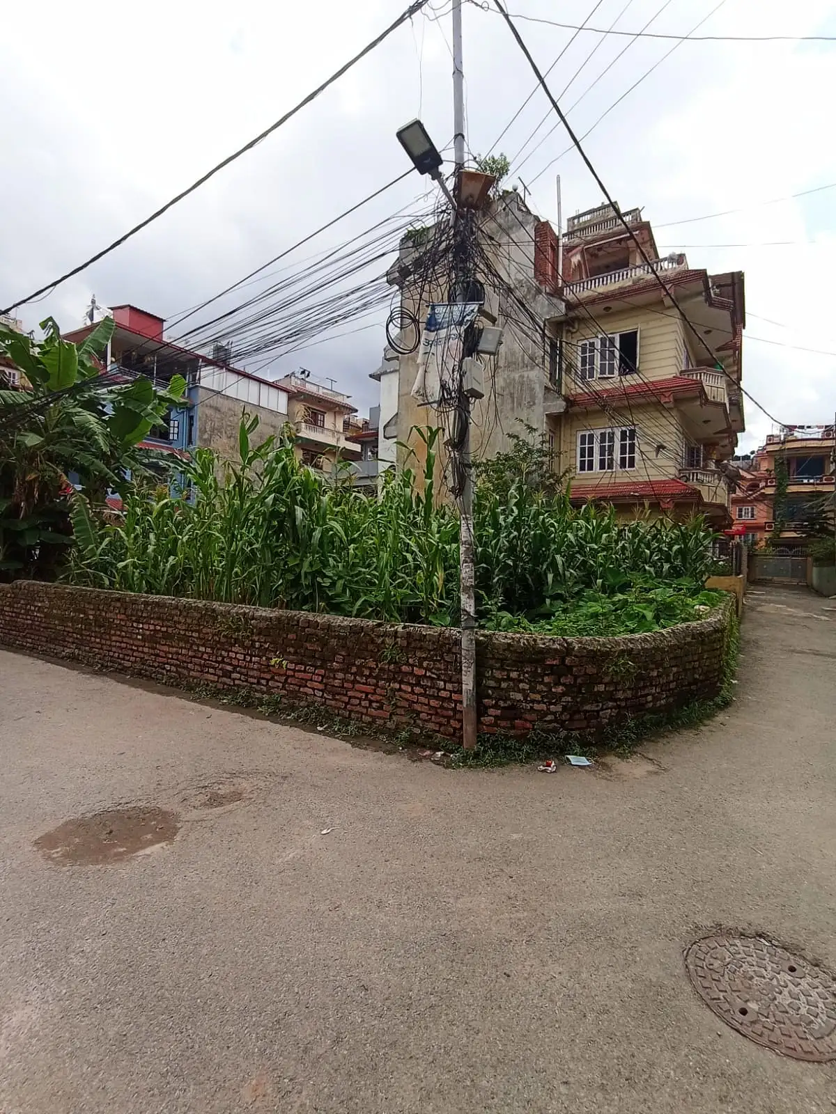 Land On Sale At Samakhusi Image 7