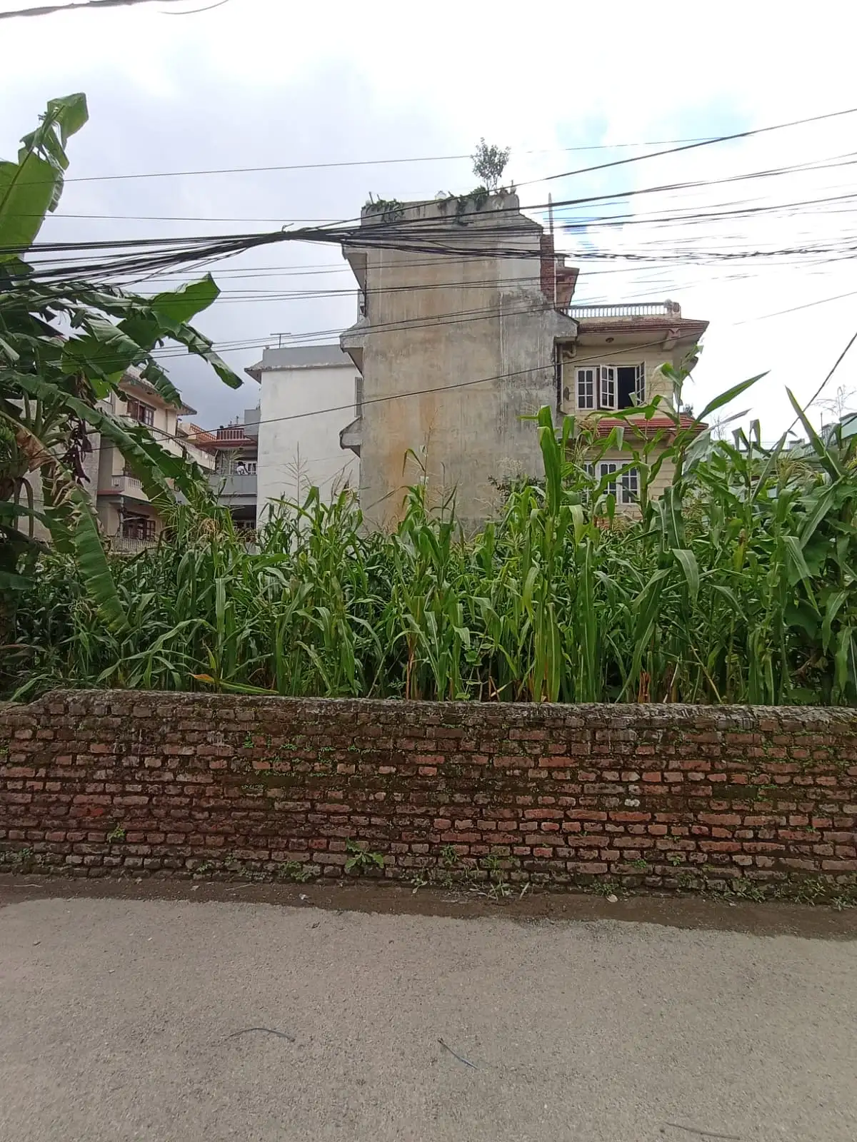 Land On Sale At Samakhusi Image 2
