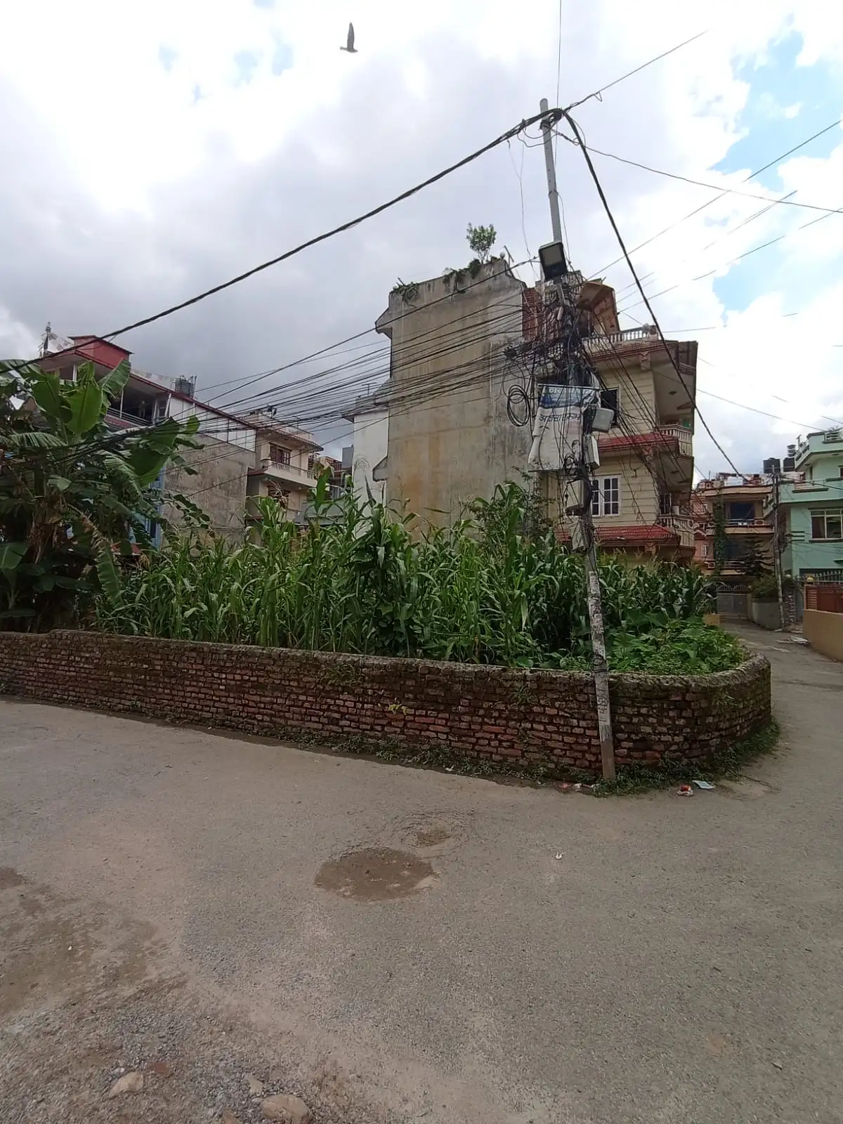 Land On Sale At Samakhusi Image 1