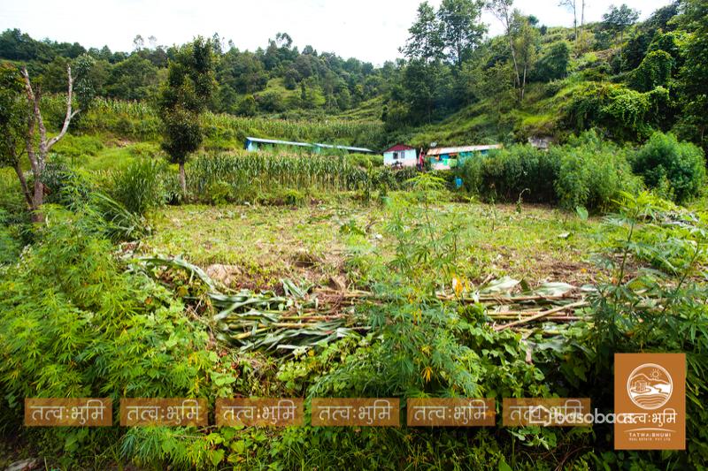 1 Ropani Land On Sale at Okharpauwa, Nuwakot : Land for Sale in Bansbari, Kathmandu Image 1