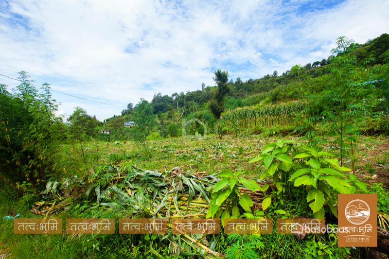 1 Ropani Land On Sale at Okharpauwa, Nuwakot : Land for Sale in Bansbari, Kathmandu Image 9