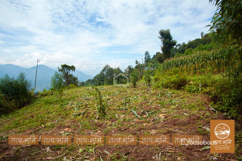1 Ropani Land On Sale at Okharpauwa, Nuwakot : Land for Sale in Bansbari, Kathmandu Image 5