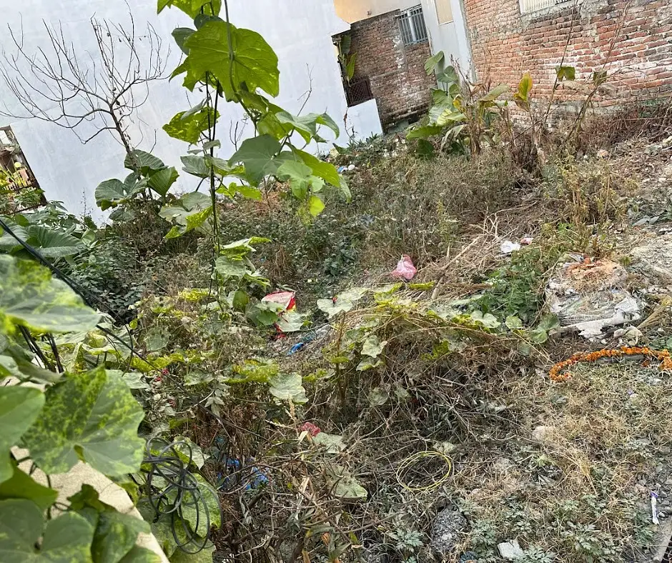 Land on Sale Image 3