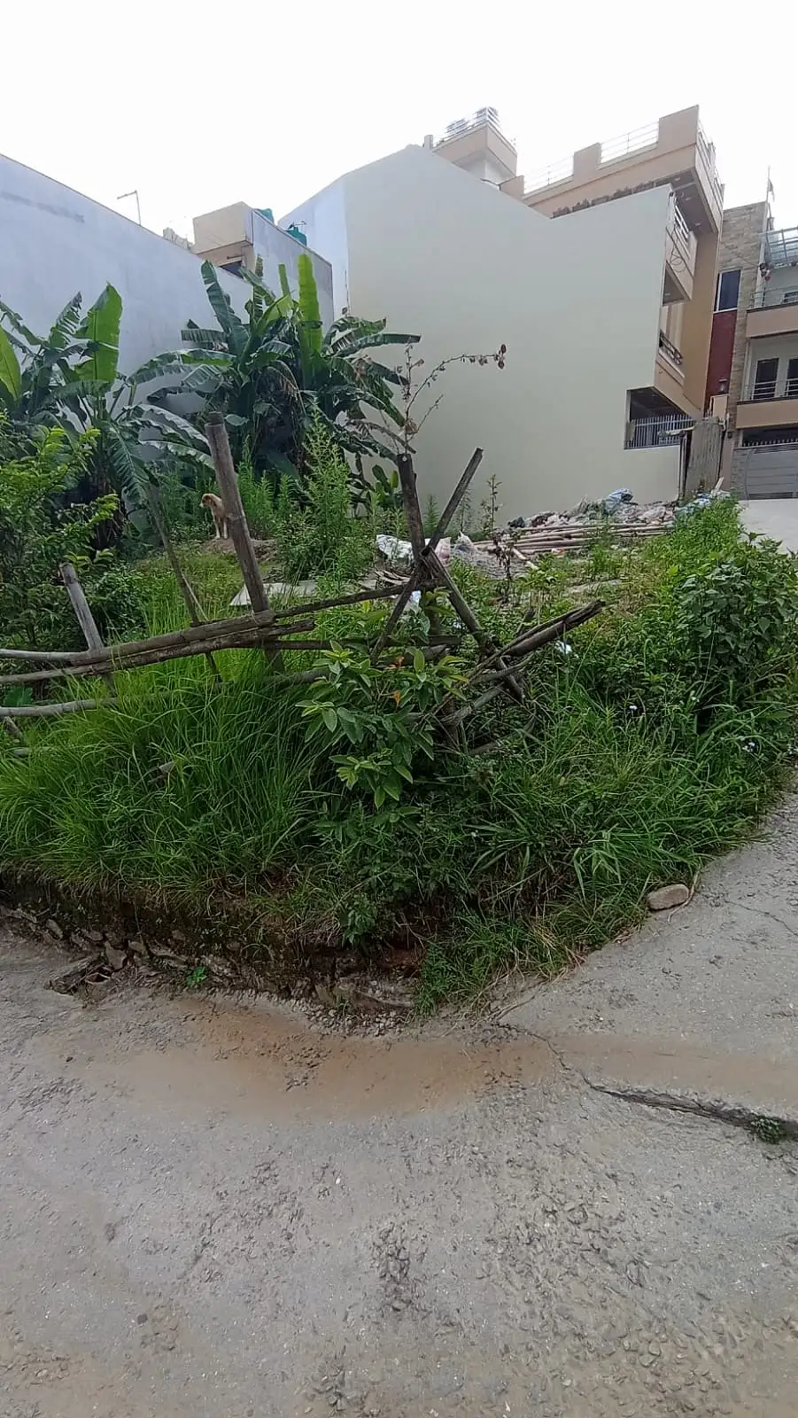 land on sale at dhumbarahi  Image 1