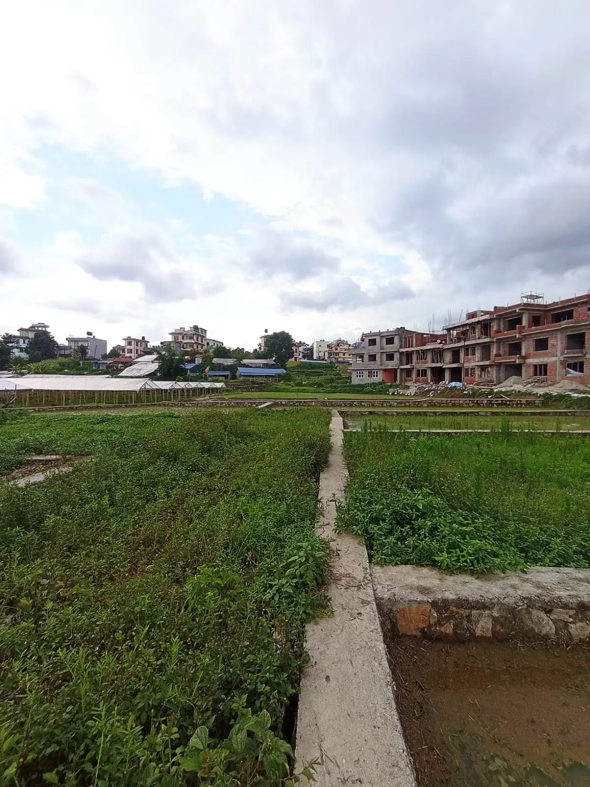 Land On Sale At Pasikot,Budhanilkantha  Image 2
