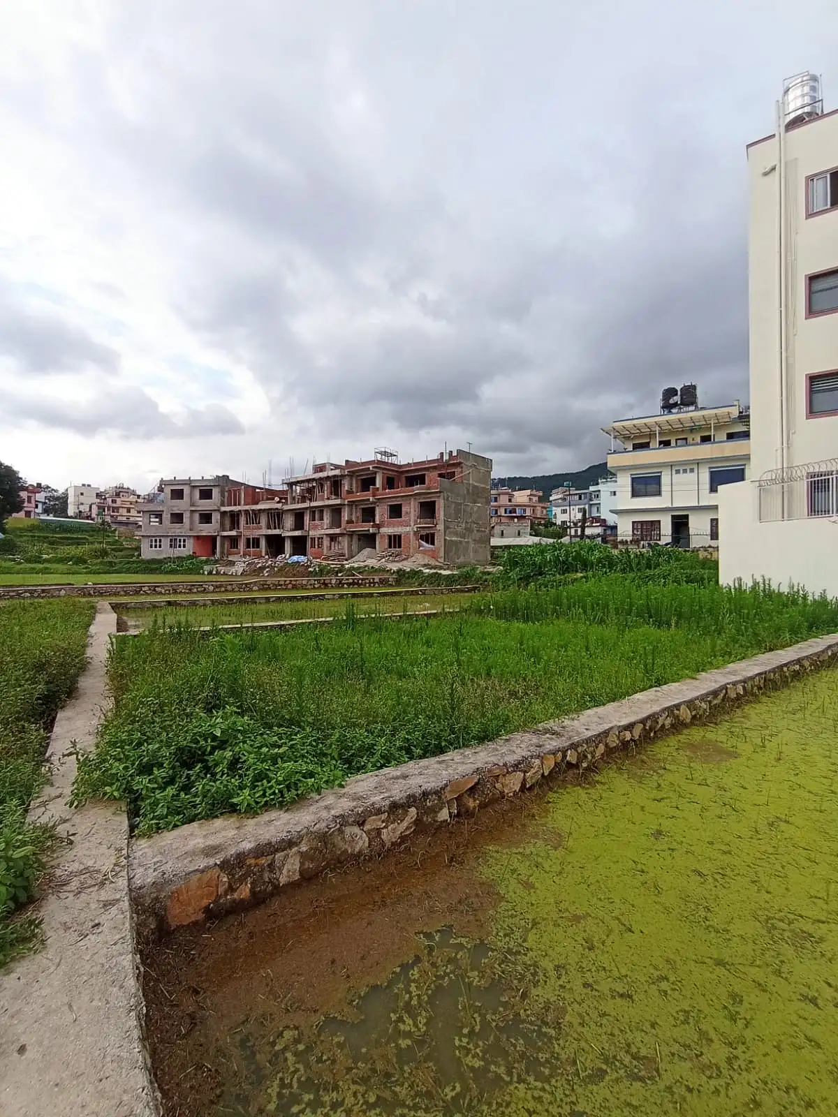 Land On Sale At Pasikot,Budhanilkantha  Image 3