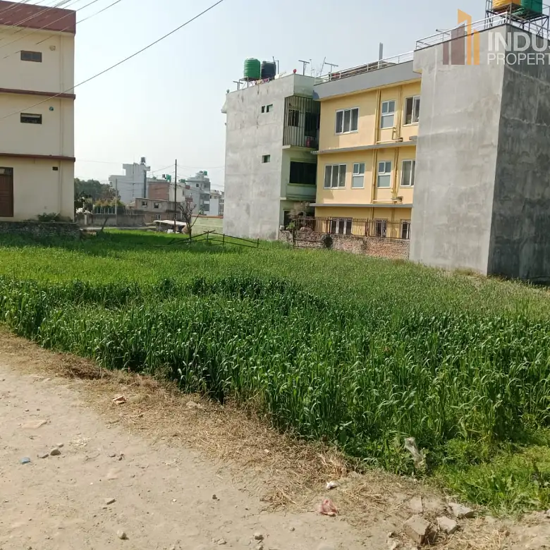 Land on Sale Image 3