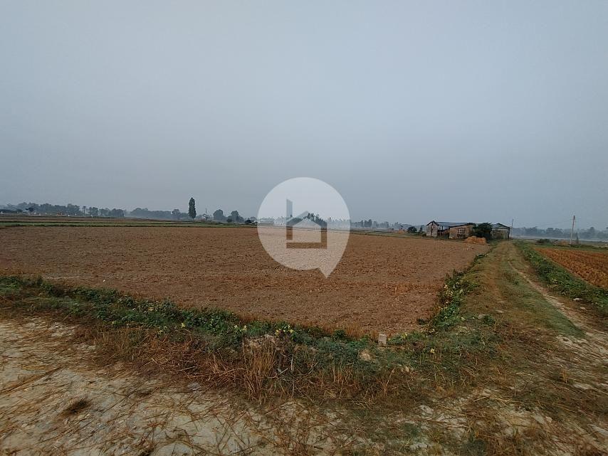 Land for Sale in Simara, Bara Image 1
