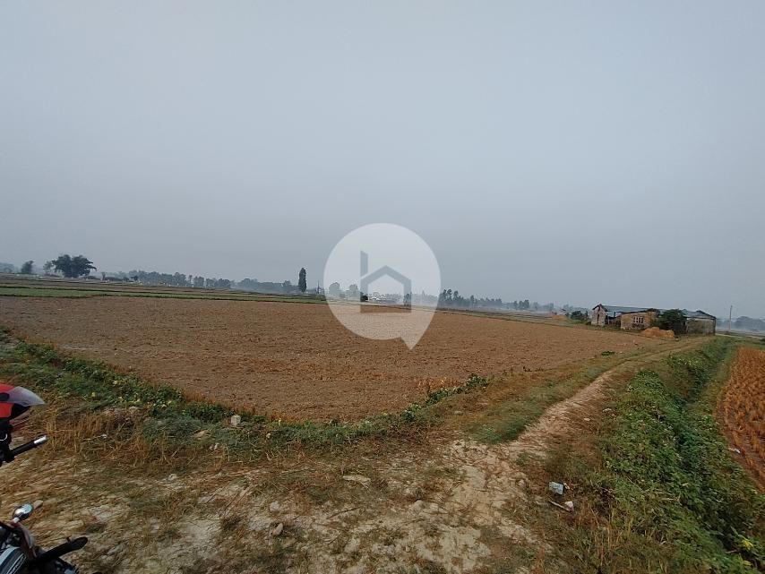 Land for Sale in Simara, Bara Image 4