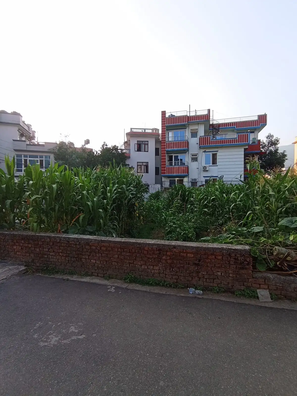 8 aana land on sale at chapali budhanilkantha  Thumbnail