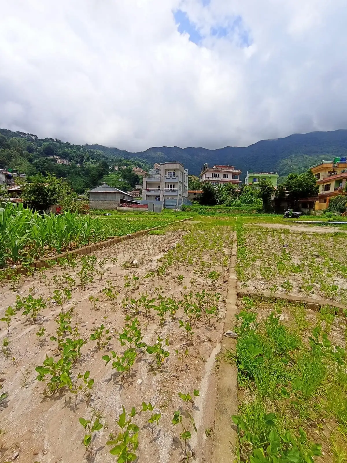 Land On Sale At Jhor Tokha  Thumbnail