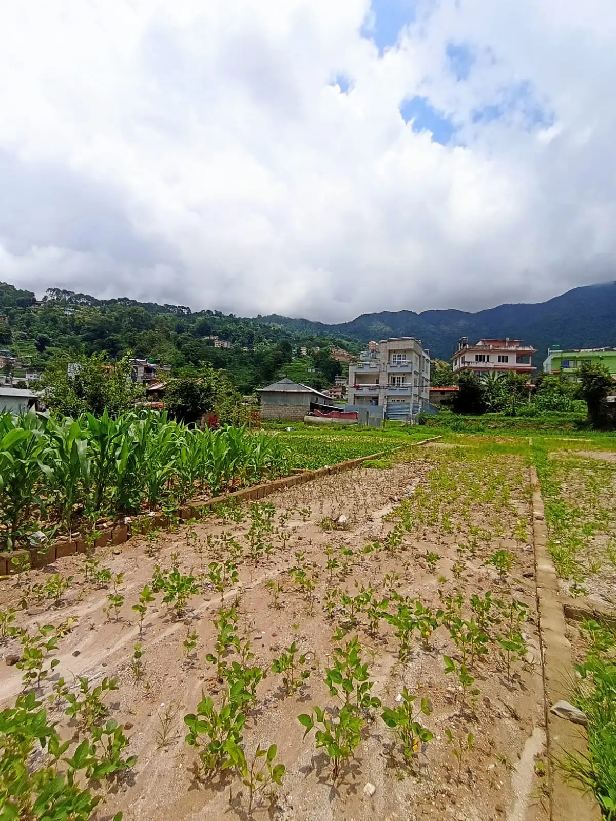 Land On Sale At Jhor Tokha  Image 1
