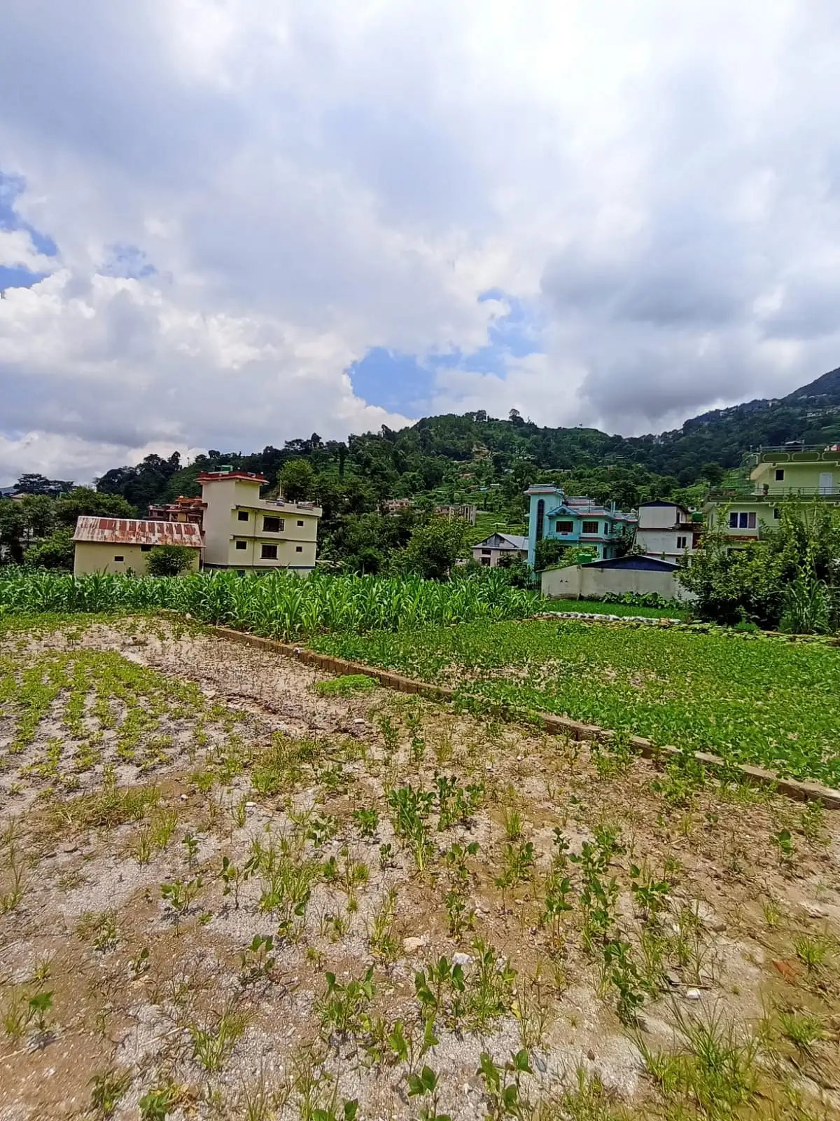 Land On Sale At Jhor Tokha  Image 3