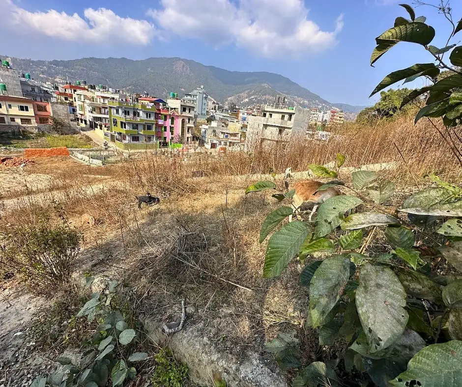 Land on Sale Image 3