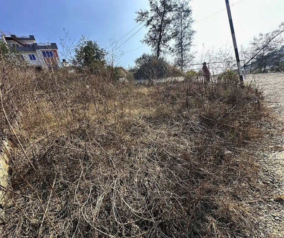 Land on Sale Image 1