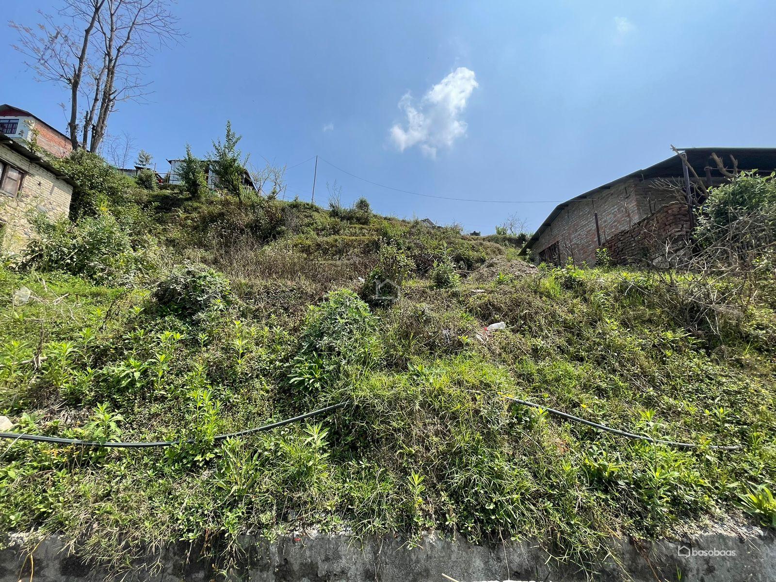 Residential : Land for Sale in Nala, Kavre Image 6