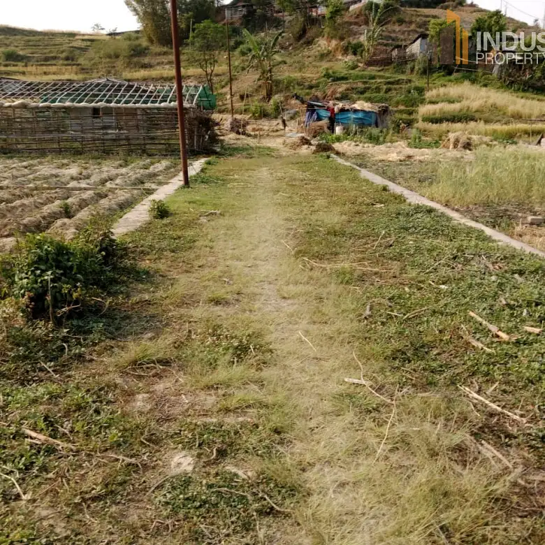 land on sale-Nagdahh Aakhidahh Image 1