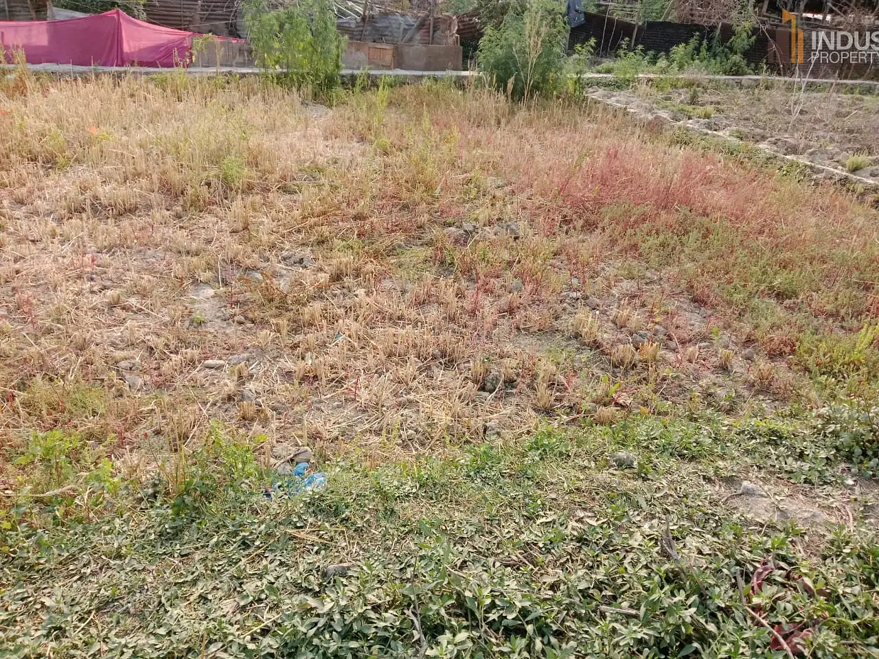 land on sale-Nagdahh Aakhidahh Image 4