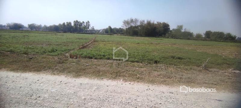 10 Kattha Land for Sale at Thalaha Morang : Land for Sale in Katahari, Morang Image 2