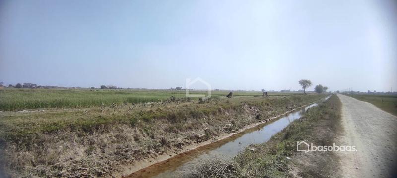 10 Kattha Land for Sale at Thalaha Morang : Land for Sale in Katahari, Morang Image 6