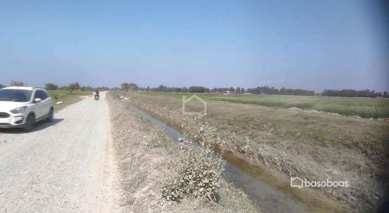 10 Kattha Land for Sale at Thalaha Morang : Land for Sale in Katahari, Morang Image 3