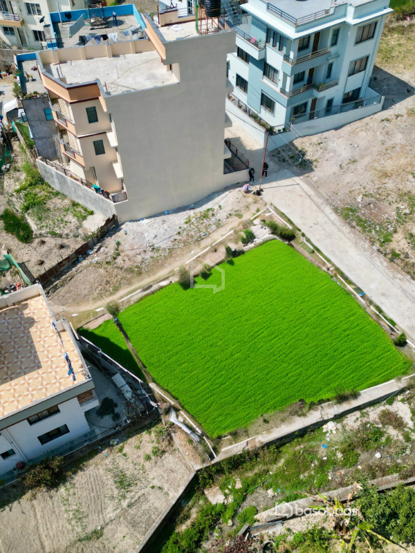Residental land on sale at Wasik : Land for Sale in Budhanilkantha, Kathmandu Image 1