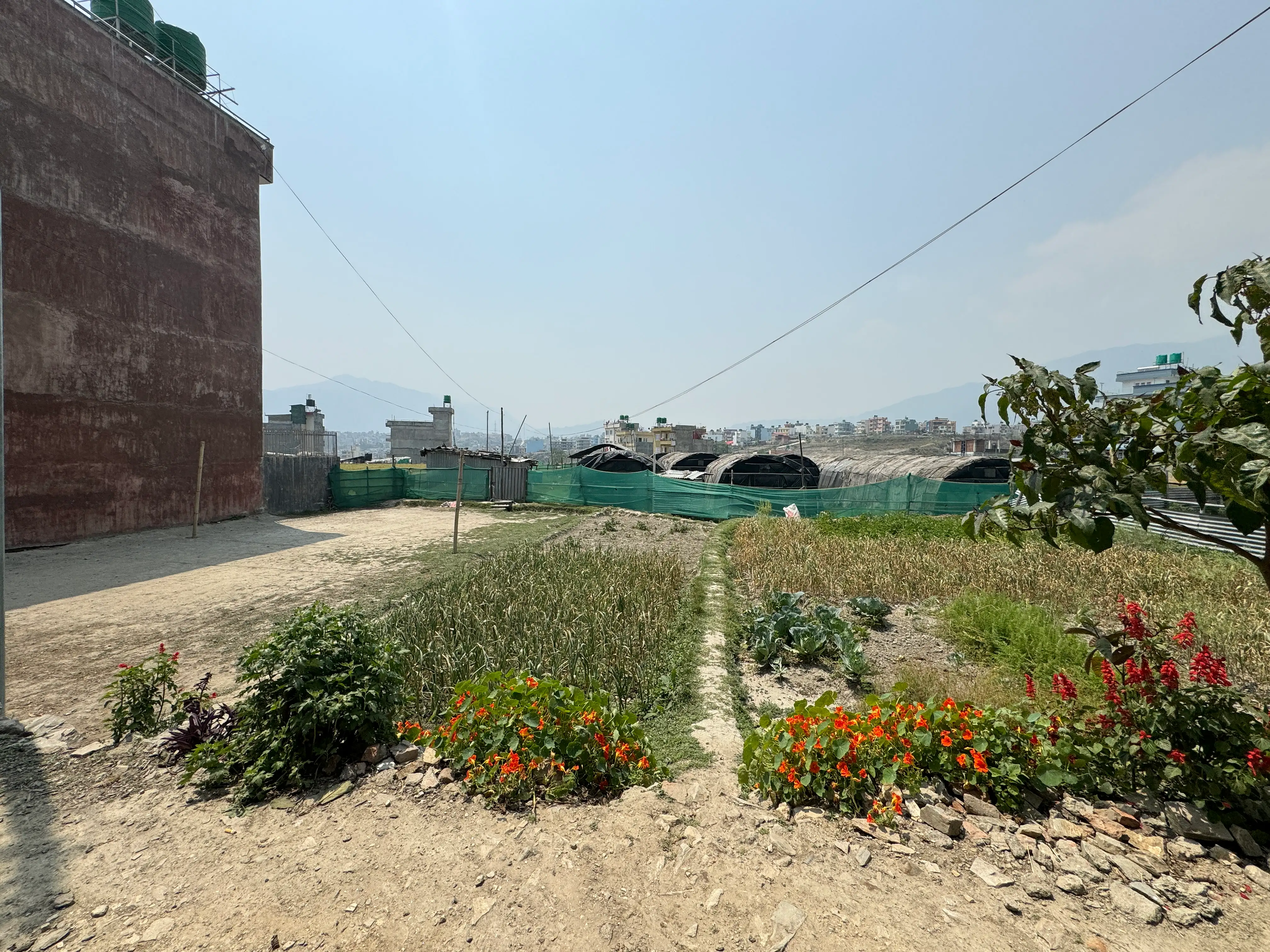 Residential Land on sell At Tokha Image 6