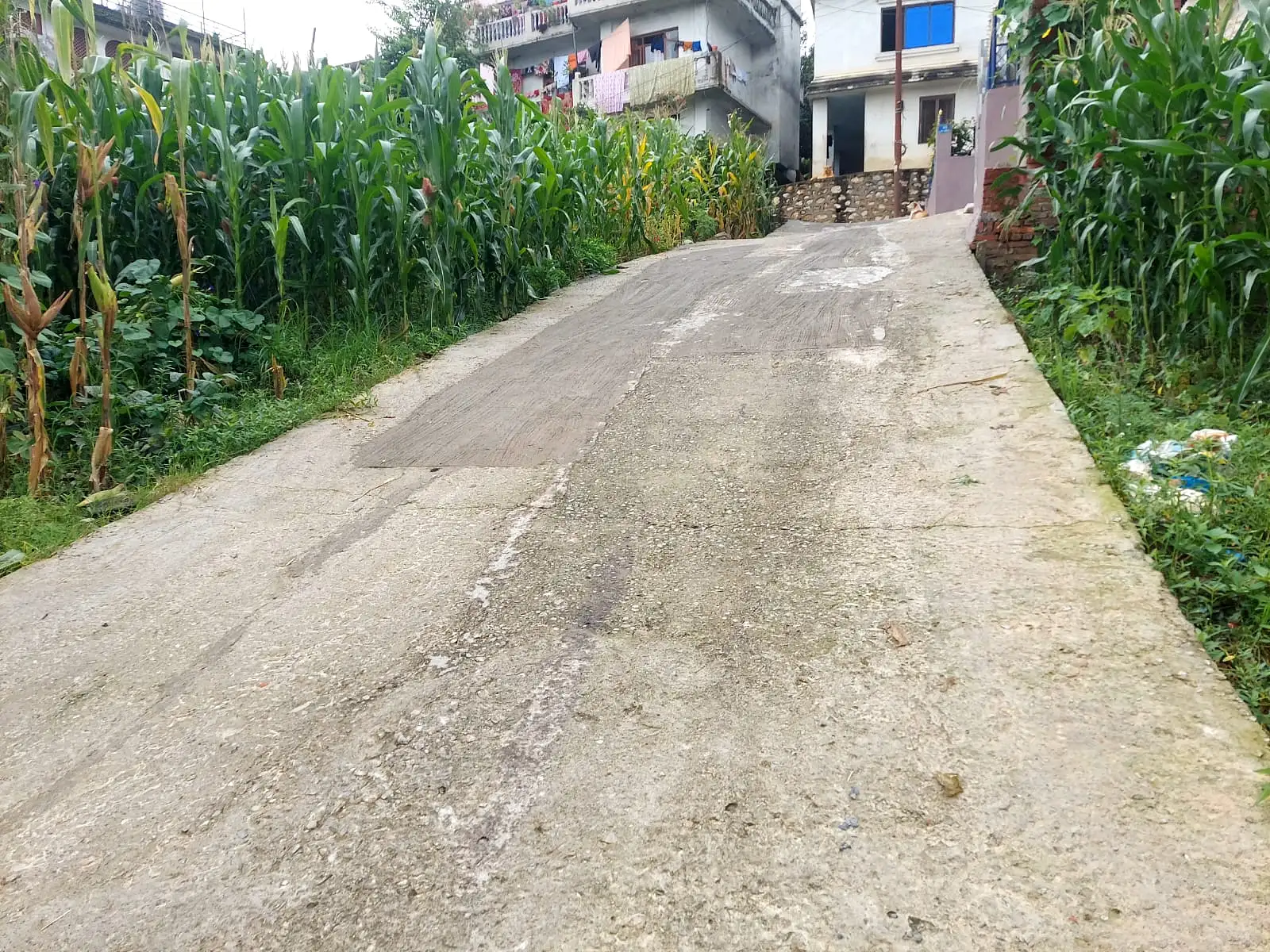 Residential Land On Sale Image 3