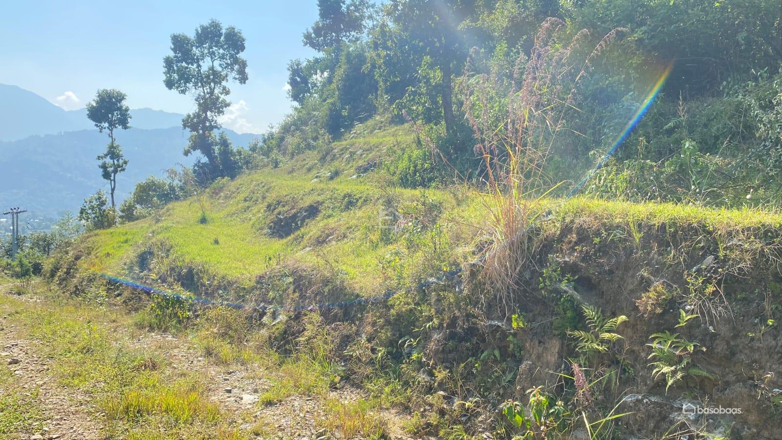 COMMERCIAL PLUS AGRICULTURE : Land for Sale in Dhampus, Kaski Image 3