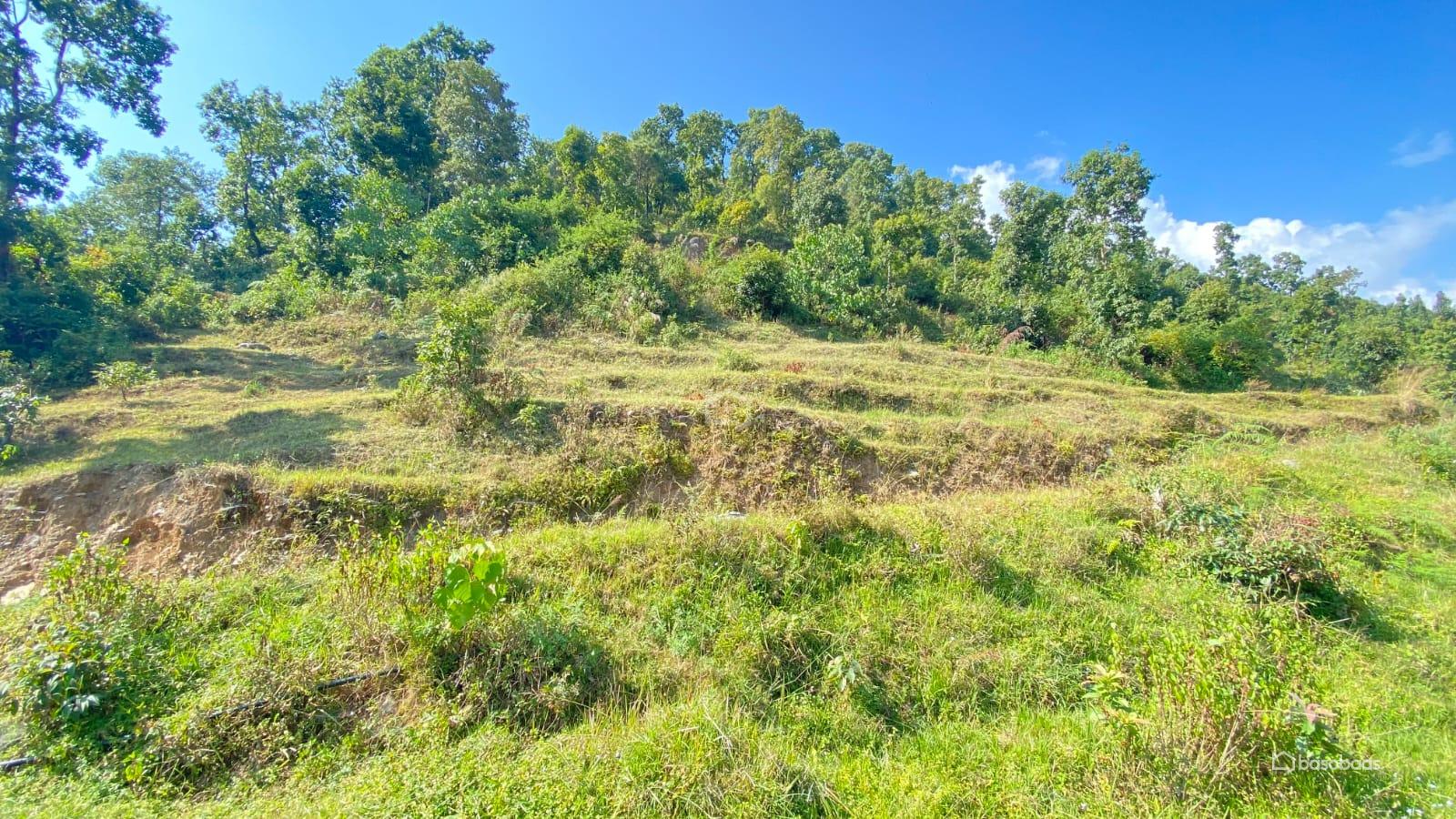 COMMERCIAL PLUS AGRICULTURE : Land for Sale in Dhampus, Kaski Thumbnail