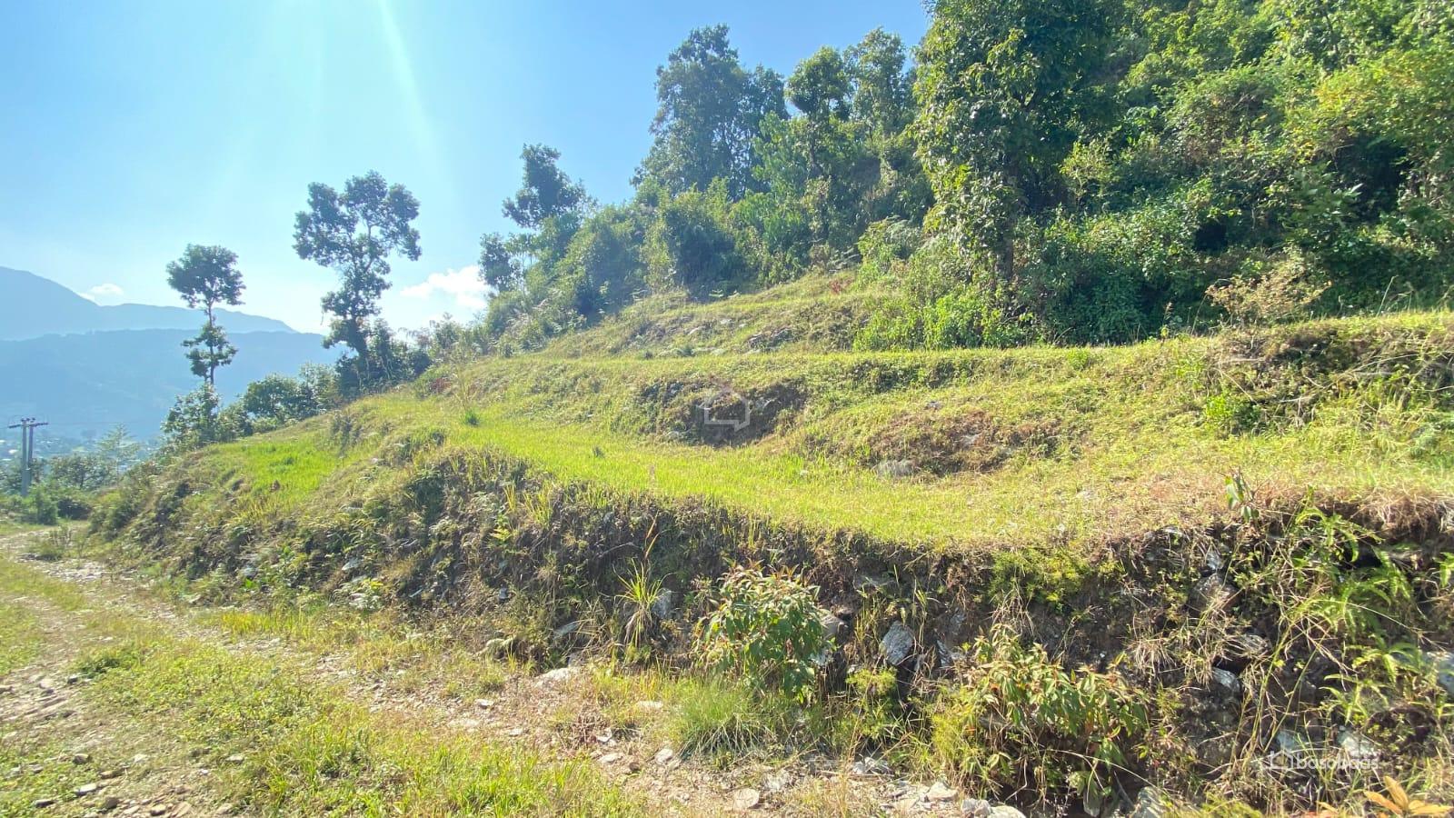 COMMERCIAL PLUS AGRICULTURE : Land for Sale in Dhampus, Kaski Image 2