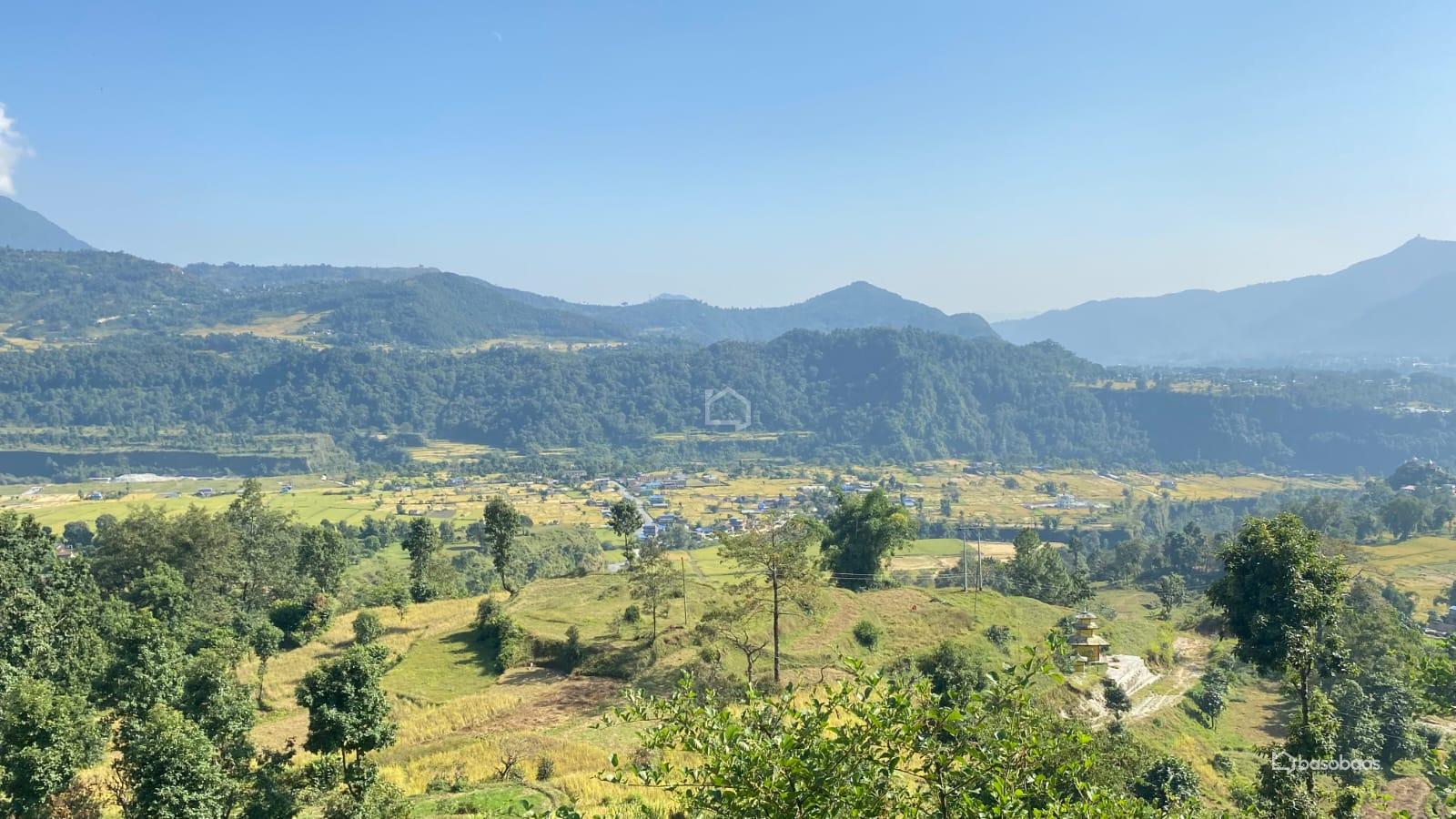 COMMERCIAL PLUS AGRICULTURE : Land for Sale in Dhampus, Kaski Image 8