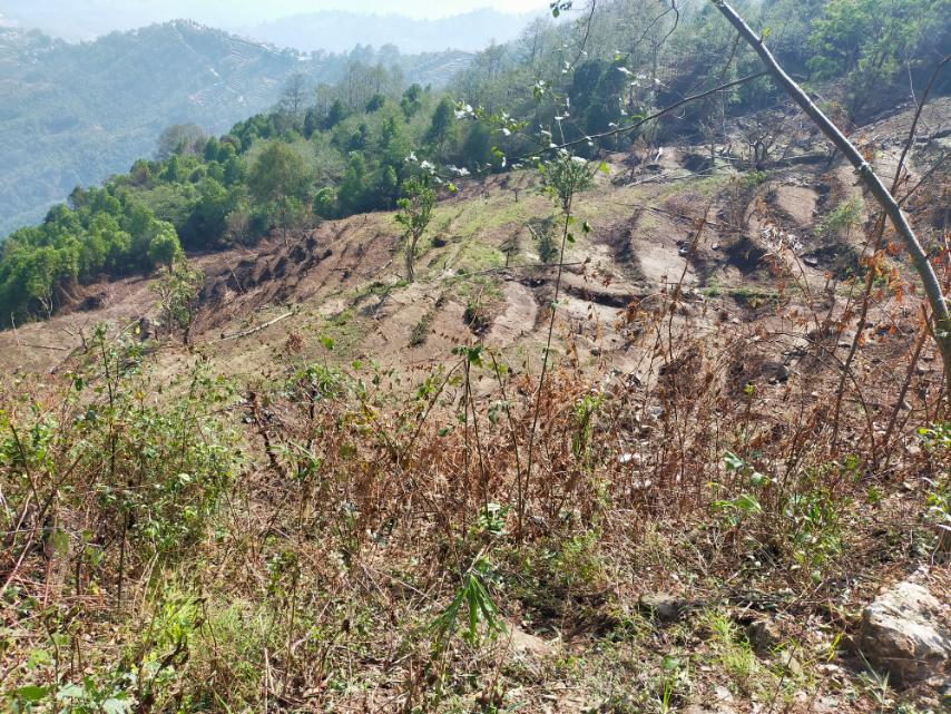 25 Ropani Land for Sale in Sunkhani, Nuwakot in Shivapuri national park area Image 7