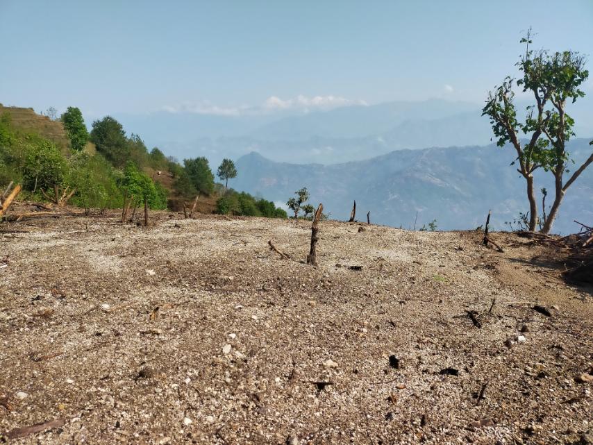 25 Ropani Land for Sale in Sunkhani, Nuwakot in Shivapuri national park area Image 3