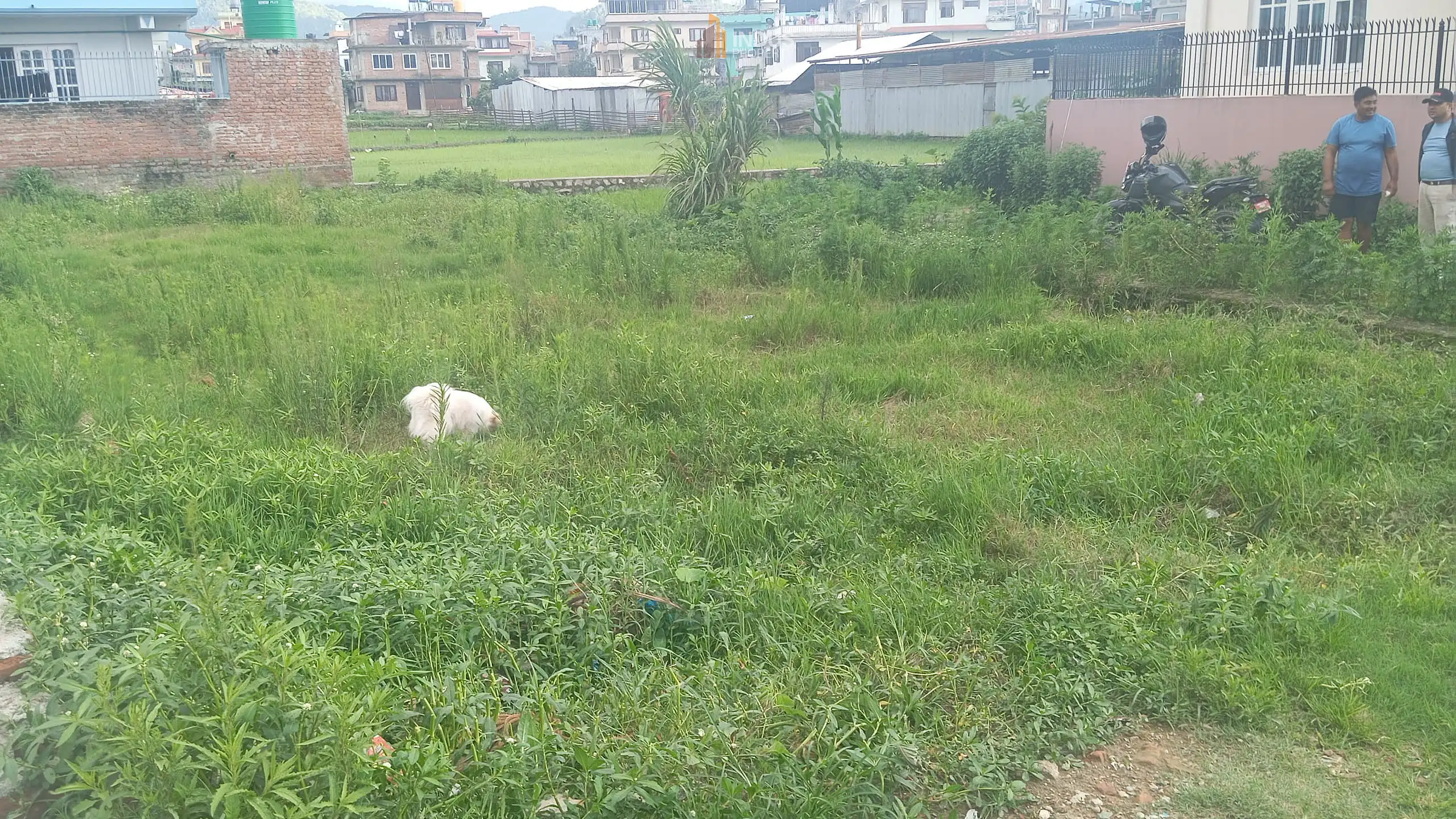 Land on sale at Harisiddhi, Lalitpur Image 3