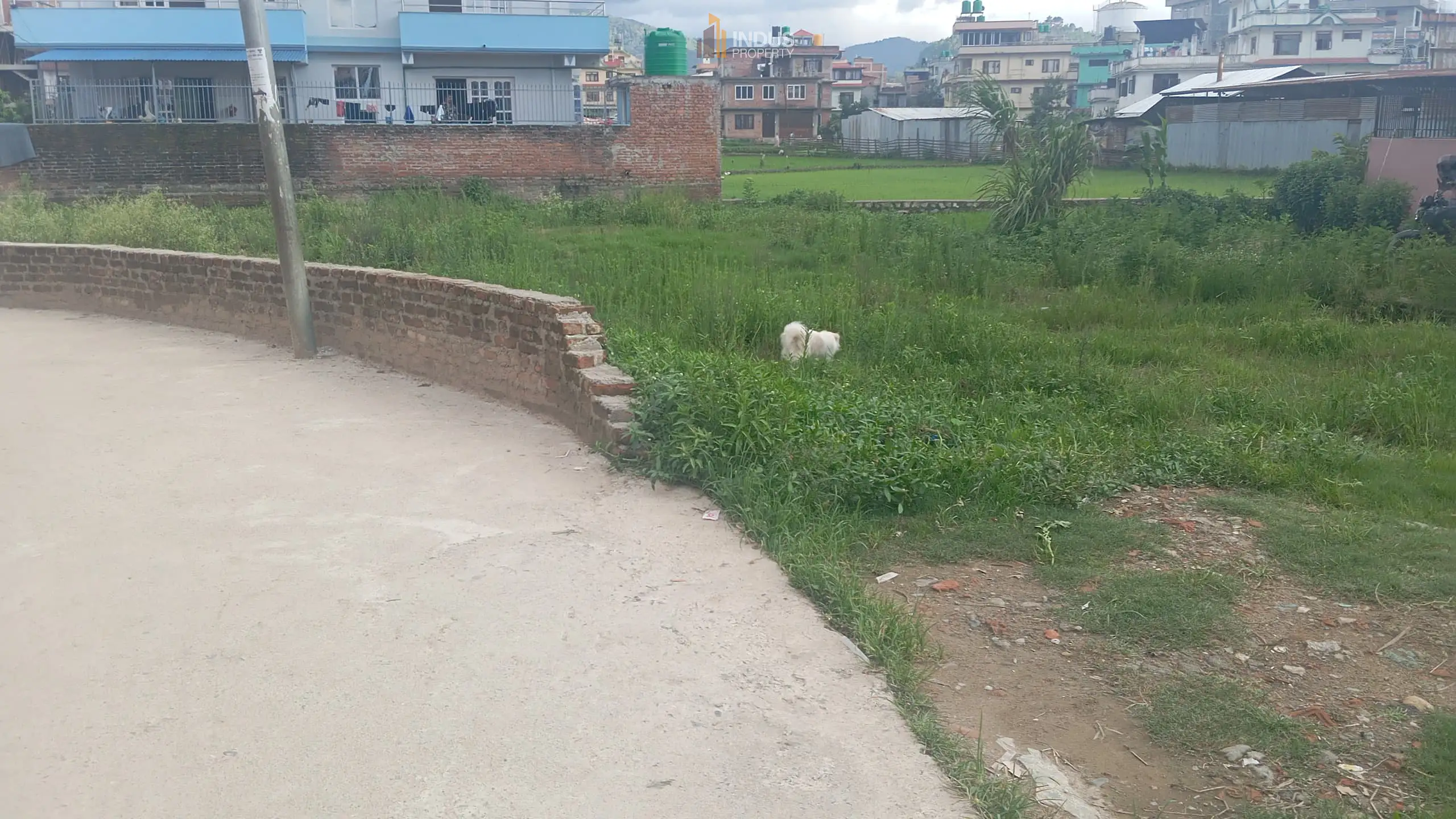 Land on sale at Harisiddhi, Lalitpur Image 4