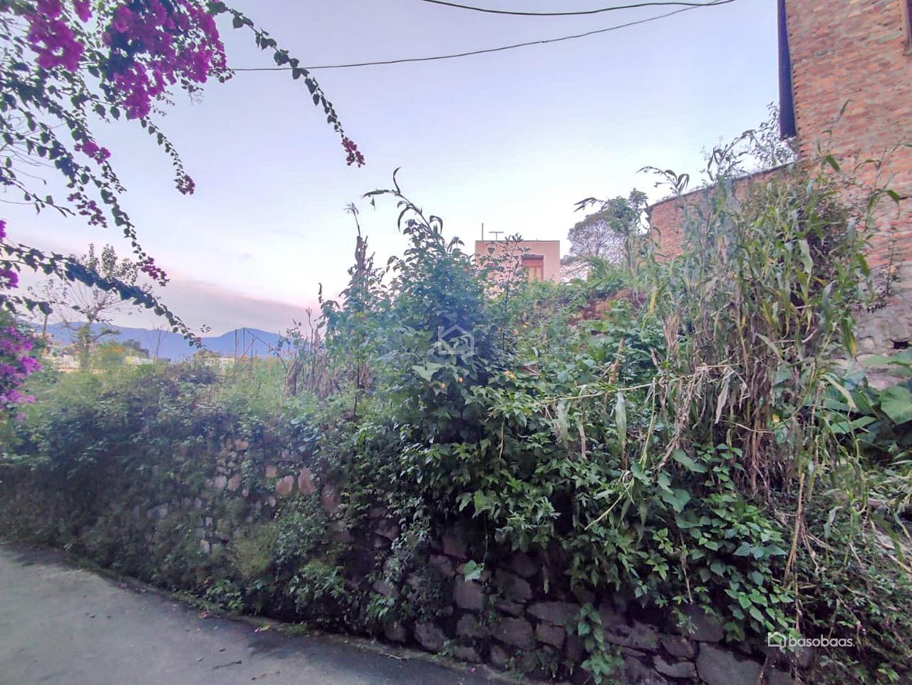 Residental Land : Land for Sale in Bansbari, Kathmandu Image 1