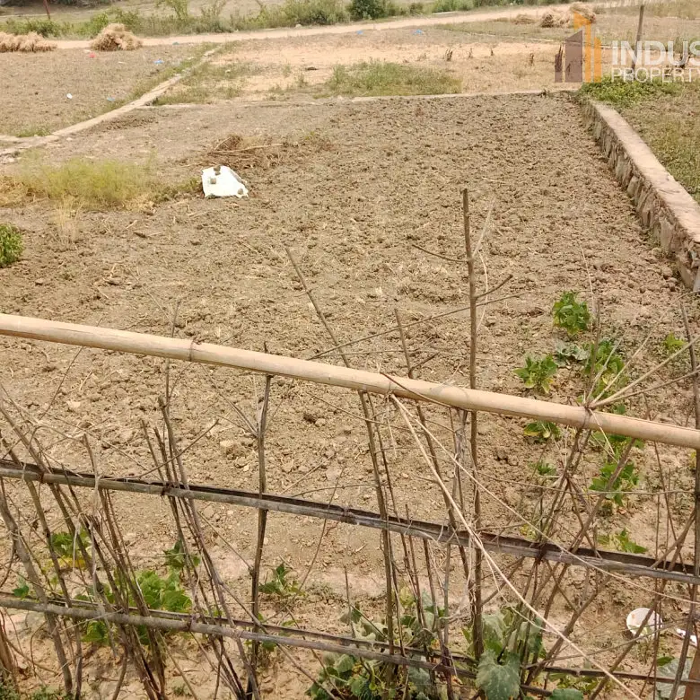land on sale-lubhu Image 2