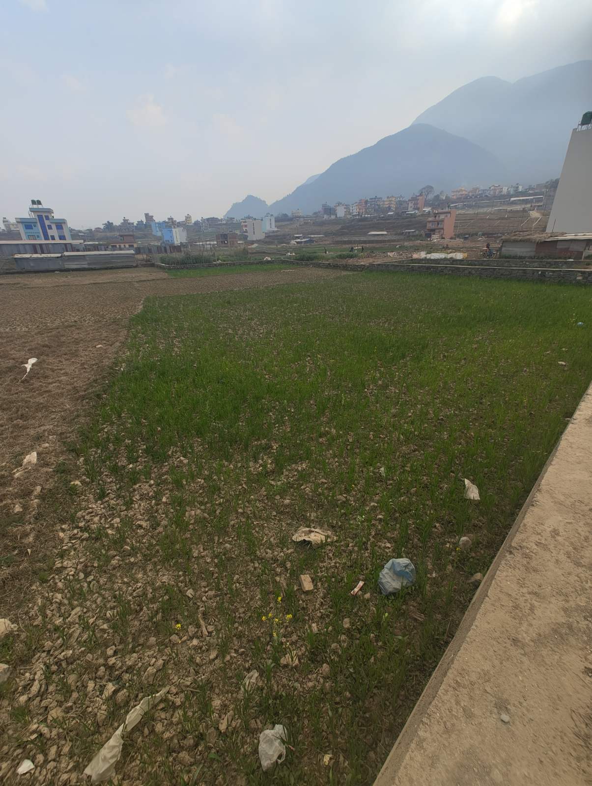 Kritipur Land for urgent Sell,35 lakh per aana negotiable Image 4
